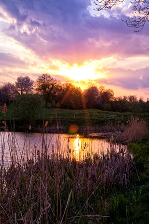 sunset in the field. beautiful autumn foggy landscape in Ukraineの写真素材