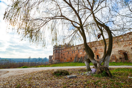 The old ruins of the collapsed walls with gates and windows Staroselskiy castle in Stare Selo in the Lviv region in Ukraineの写真素材