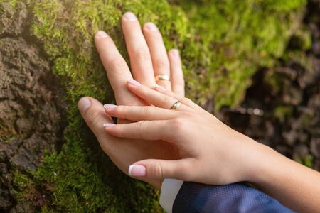 the hands of the bridegroom with the wedding rings, on the tree whilethis moss. Without a face. Close-upの写真素材