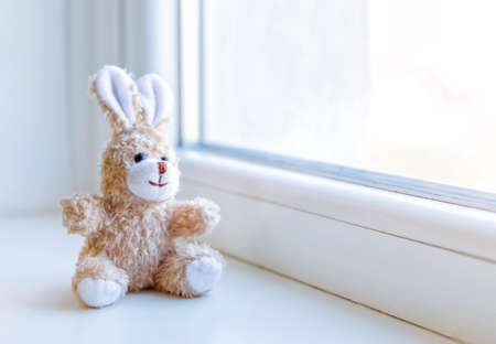 soft toy little bunny on an empty windowsillの写真素材