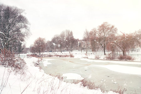 snowy city lake. trees and bushes in the snow. benches and alley in the park in winter. frozen lakeの写真素材
