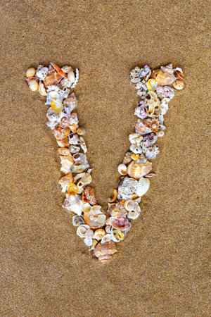 The letter V of the English alphabet, a letter made of seashells on the sand.