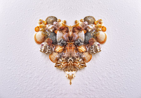 heart from sea shells on a white background