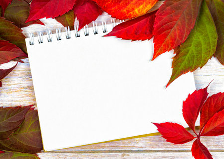 Autumn background. red leaves on a wooden base. place for text. red ivy leaves and a note pad on a wooden background. Top view. Flat lay. Autumn composition.の写真素材