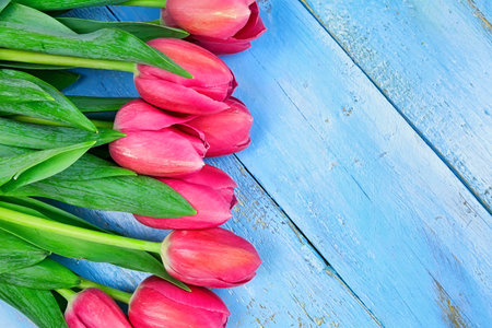 Bouquet of tulips on blue wooden table. Happy womens day. 8 March., Mothers Day. Flat lay and copy spaceの写真素材