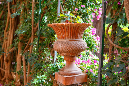Peaceful Garden Walkway Adorned With Flowering Vines in a Serene Outdoor Settingの写真素材