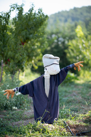 Sweet and funny scarecrow in the garden in the summertime. Made with kids. outside activitiesの写真素材