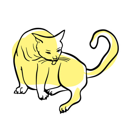Funny cat is sitting and washing her face. Free hand Fat cute domestic pet illustration.のイラスト素材
