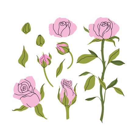 Set of hand-painted roses. Delicate pink flowers, buds, twigs and leaves. Fashion minimalist flower. Elegant botanical spring decor for your design, garden and flower shop. Vector flat illustration.のイラスト素材