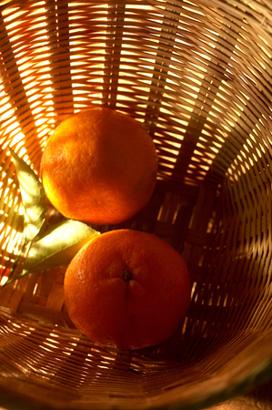Mandarin orangesの写真素材