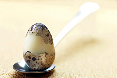 A half peeled quail egg on a spoonの写真素材