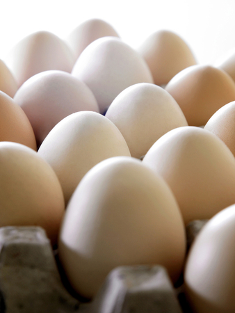 Close up of eggs arranged in the trayの写真素材