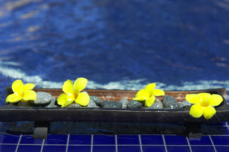 Flowers and pebblesの写真素材
