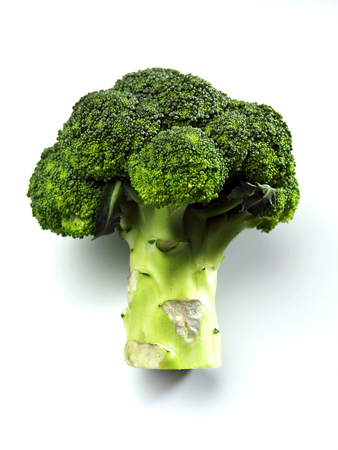 broccoli on white backgroundの写真素材