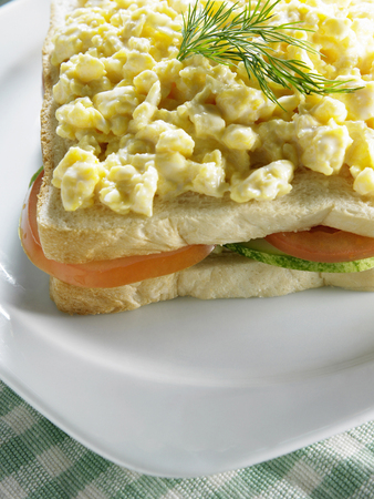 A piece of sandwich with scramble egg toppingの写真素材