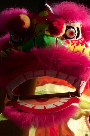 Lion costumeの写真素材