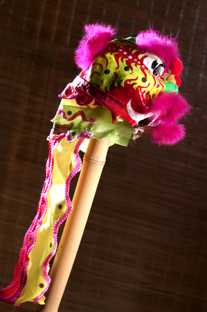 Lion costumeの写真素材