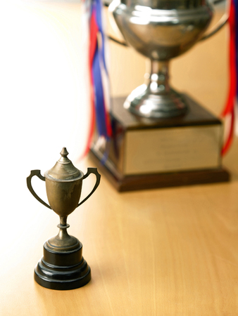 A comparison between small and large trophyの写真素材