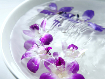 Flowers in a bowl of waterの写真素材
