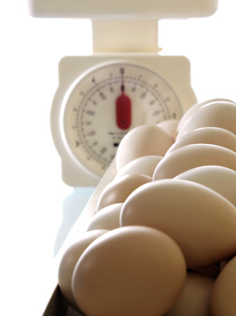 A scale behind the egg pilesの写真素材