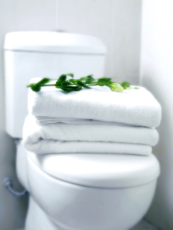 Flower and a stack of towels on a toilet bowlの写真素材