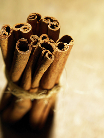 A bundle of cinnamon sticksの写真素材