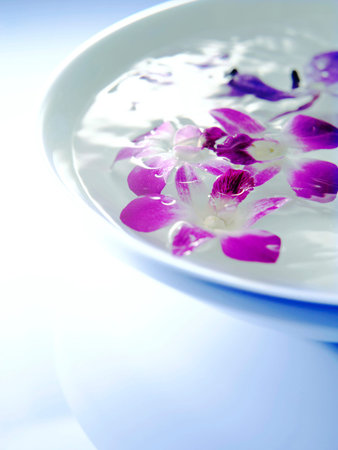 Flowers in a bowl of waterの写真素材