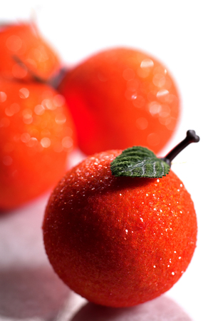 Mandarin orangesの写真素材