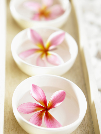tropical flower floating on bowls of water arranged in straight lineの写真素材