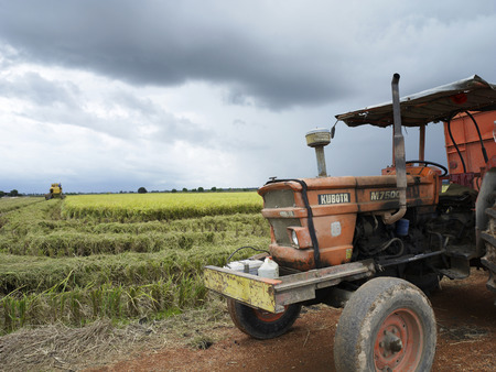 Side view of tractor on paddy fieldの写真素材