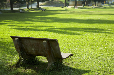 a outdoor chair at garden in the morningの写真素材