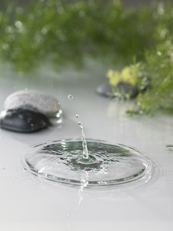 water splash  with stone and green as backgroundの写真素材