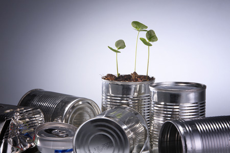 plant is growing on the aluminium canの写真素材