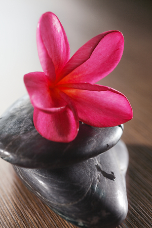 stock image of the spa conceptの写真素材