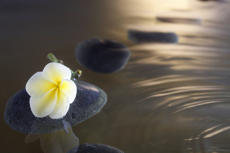 stock image of the spa conceptの写真素材