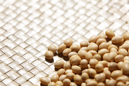stock images of the  soya beanの写真素材
