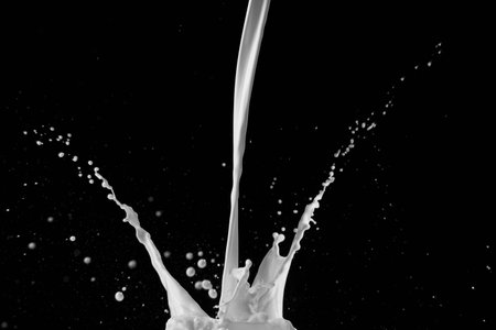 pouring milk on the black backgroundの写真素材