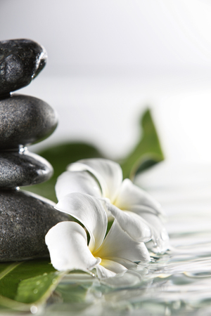 stock image of the spa conceptの写真素材