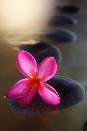 stock image of the spa conceptの写真素材