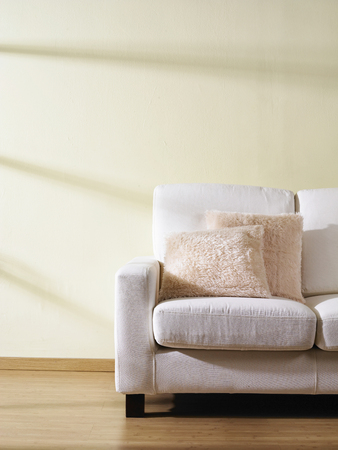 Contemporary sofa with two cushions.の写真素材