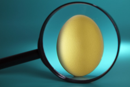 Egg under magnifier, Isolated on colour backgroundの写真素材