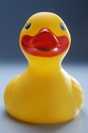 Rubber yellow duck isolated on coloured background.の写真素材