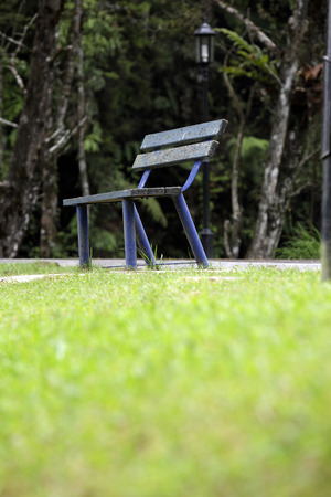 Wooden bench isolated on the grass.の写真素材