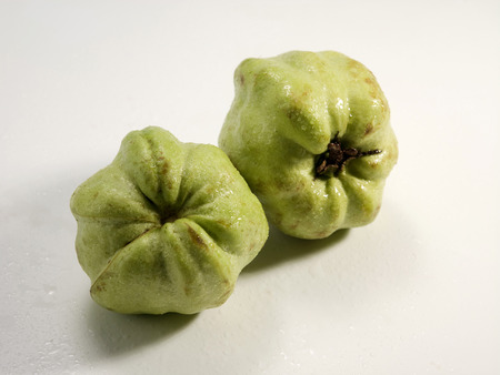 A guava fruit, of the common apple guava (Psidium guajava) variety.の写真素材