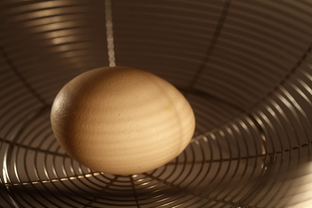 last  egg in the  basket wireの写真素材