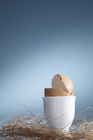Cracked egg in an egg cup in a nest.の写真素材