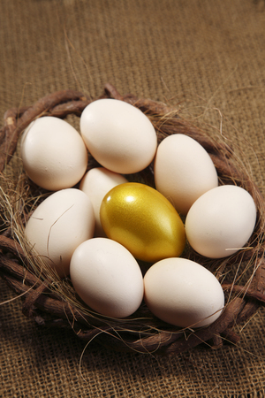 nest of egg with one golden eggの写真素材