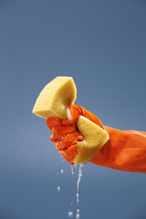 Squeezing sponge, squeezing wet sponge.の写真素材