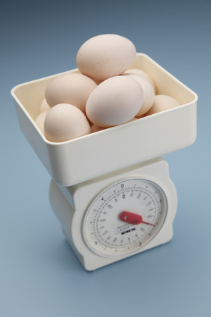stock image of the egg on the scaleの写真素材