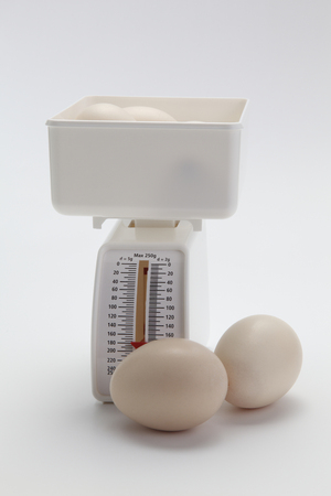 stock image of the egg on the scaleの写真素材